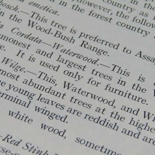Transvaal Forest Report by De Hutchins 1904 in depth discussion on types of trees