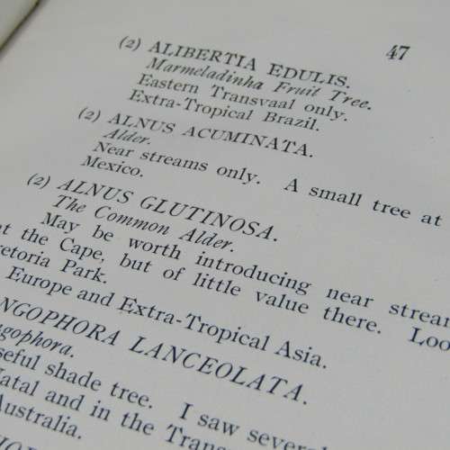 Transvaal Forest Report by De Hutchins 1904 in depth discussion on types of trees