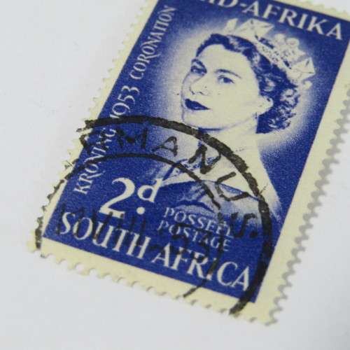 SACC 142 Queen Elizabeth 2d with a number of spots around nose
