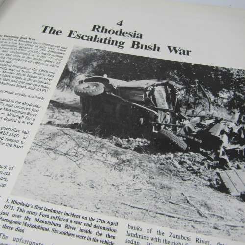 Taming the landmine by Peter Stiff