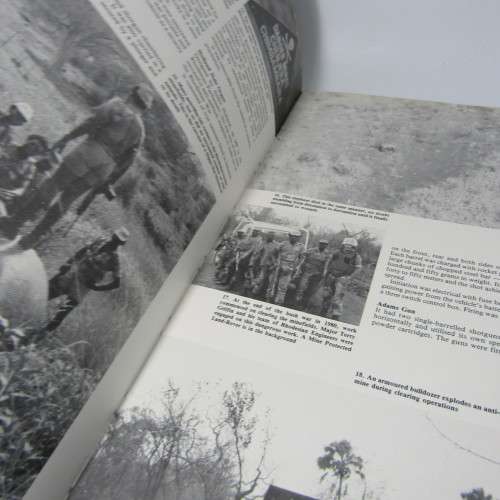 Taming the landmine by Peter Stiff