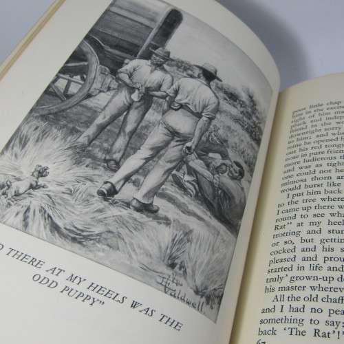 Jock of the Bushveld by Sir Percy Fitzpatrick - 1960 edition