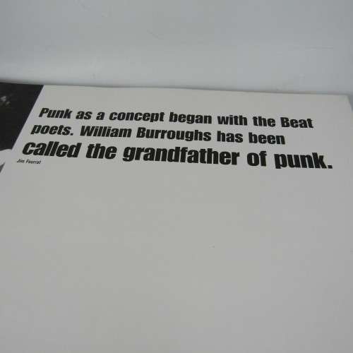 PUNK -  A life apart by Colegrave and Sullivan