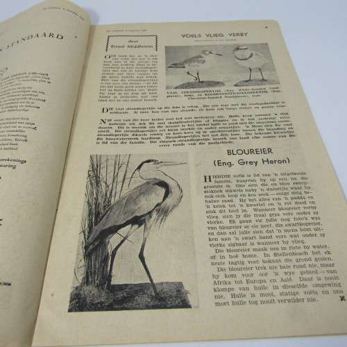 Die Jongspan Afrikaanse Nuusblad - 8 Augustus 1960