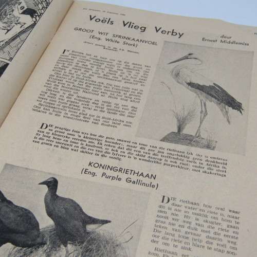 Die Jongspan Afrikaanse Nuusblad - 24 Augustus 1960