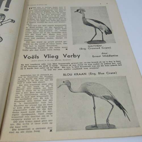 Die Jongspan Afrikaanse Nuusblad - 24 Oktober 1960