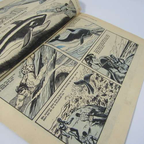 Die Jongspan Afrikaanse Nuusblad - 10 November 1958