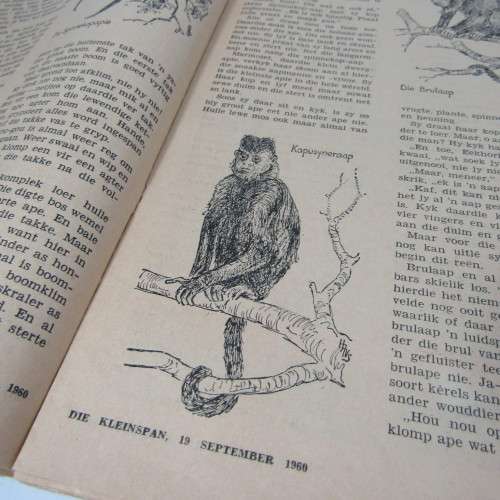 Die Kleinspan - 22 Augustus 1960 - No. 27