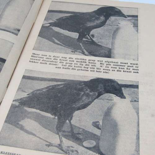 Die Kleinspan - 13 Oktober 1958 - No. 34