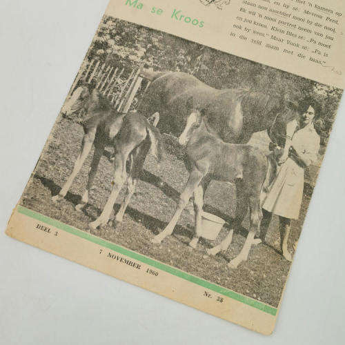 Die Kleinspan 7 November 1960 - No 38