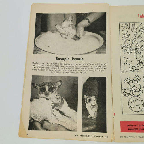 Die Kleinspan 7 November 1960 - No 38