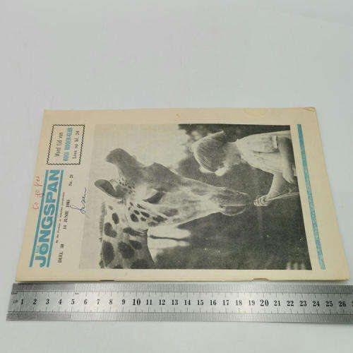 Die Jongspan Afrikaanse nuusblad 14 June 1965