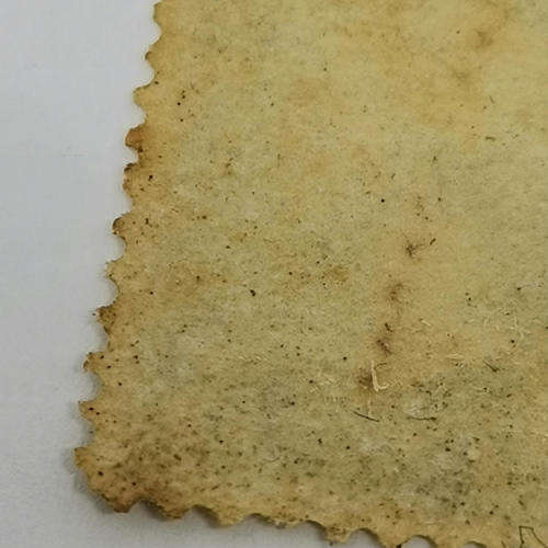 Dominion of Canada 5 cent - SG 106 - slight damage left side - mint - not hinged