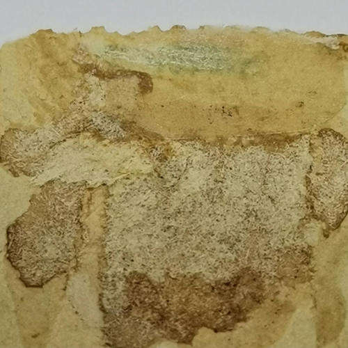 Heligoland 1½ Schilling stamp - SG9 - Lot of old hinge marks
