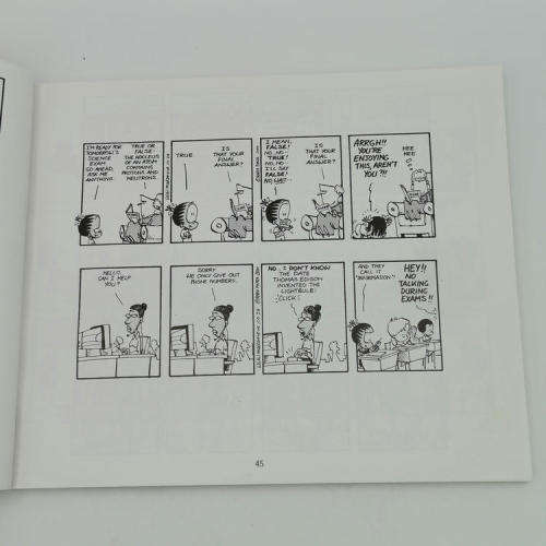Madam and Eve - Crouching Madam Hidden Maid cartoon book