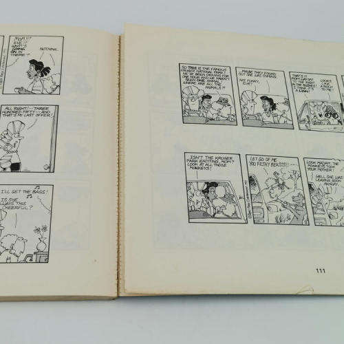 The Madam and Eve collection cartoon book