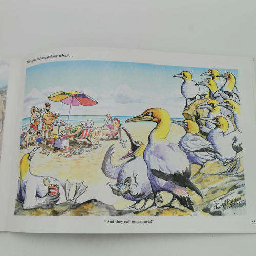 Rose Rigden`s Wildside cartoon book