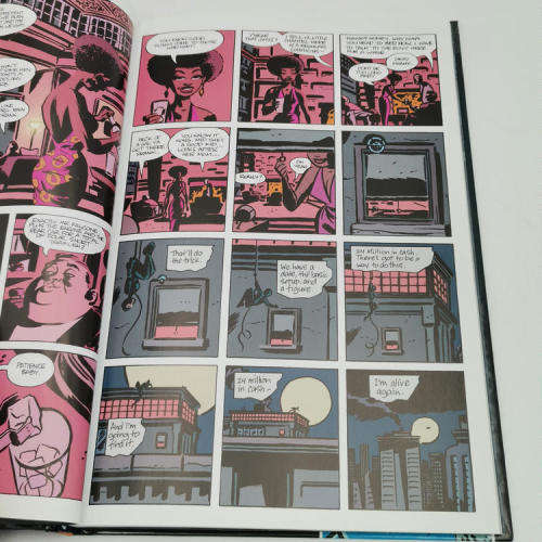 DC Comics Catwomen Selina`s Big Score graphic score