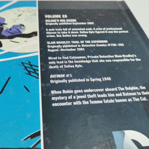 DC Comics Catwomen Selina`s Big Score graphic score