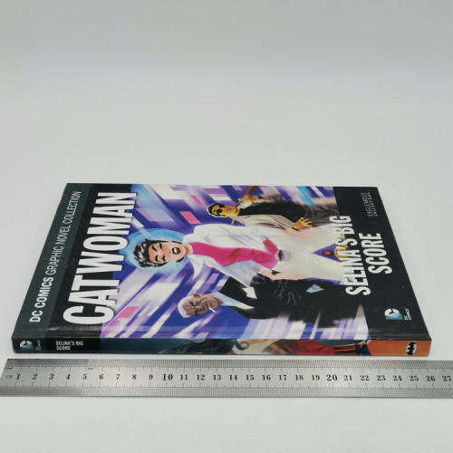 DC Comics Catwomen Selina`s Big Score graphic score