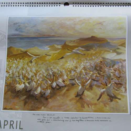 1998 KWV Majorie Wallace artwork calendar
