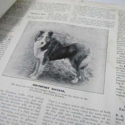 The Collie Folio September 1910 - RARE BOOK