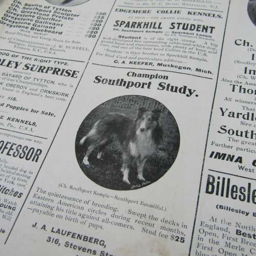 The Collie Folio September 1910 - RARE BOOK
