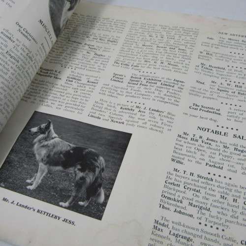 The Collie Folio September 1910 - RARE BOOK