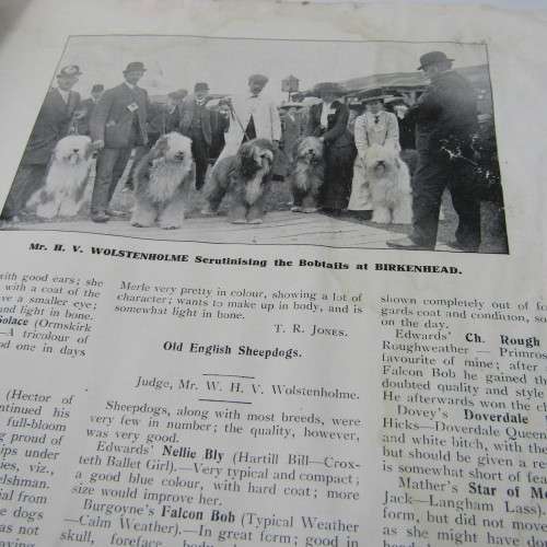 The Collie Folio September 1910 - RARE BOOK