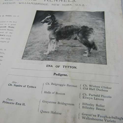 The Collie Folio September 1910 - RARE BOOK