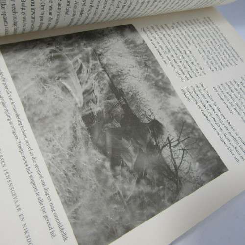 David Williams, Op die grens - 1965-1990