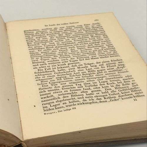 Der Heilige Nil by A. Berger