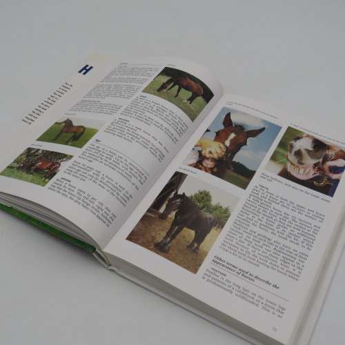 The complete Encyclopedia of Horses by Josee Hermsen