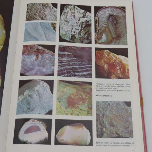 The Colletor`s Encyclopedia of Rocks and Minerals by A.F.L Deeson