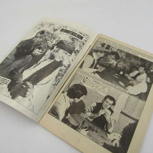 Die Swart Luiperd photo comic book no. 87 - good condition