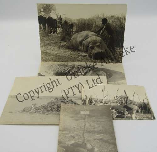 Lot of 5 South West Africa photos - early 1900`s