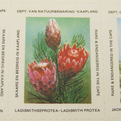 Rare & Endangered Species - 2 sheets of 30 stamps each unused rarely seen in sheets
