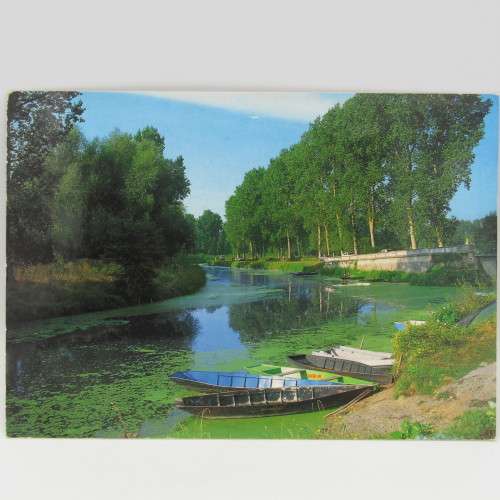 Lot of 7 postcards vintage with French Stamps or Frankings
