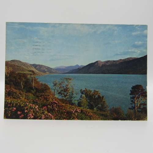Lot of 15 postcards all with British stamps - all different