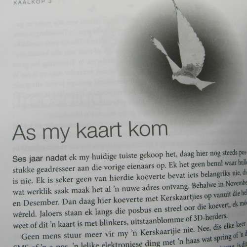 Kaalkop 3 deur Nataniël - Given by him to Shaleen Surtie Richards in 2012
