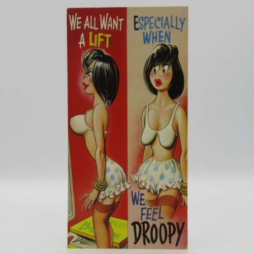 Lot of 6 vintage funny postcards