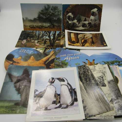 Lot of 25 postcards with animals - different shapes - most unused