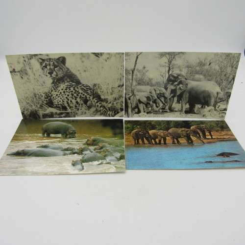 Lot of 25 postcards with animals - different shapes - most unused