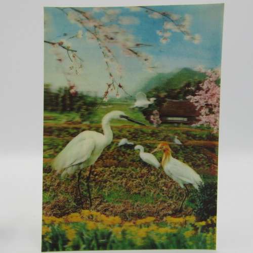 Lot of 25 postcards with animals - different shapes - most unused