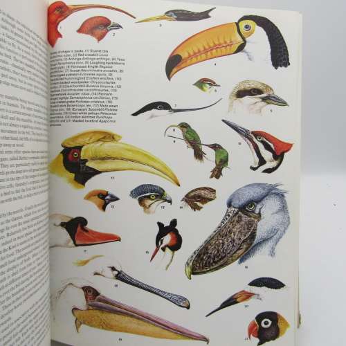 Reder`s Digest BIRDS - Their Life - Their Ways - Their World