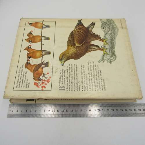 Reder`s Digest BIRDS - Their Life - Their Ways - Their World