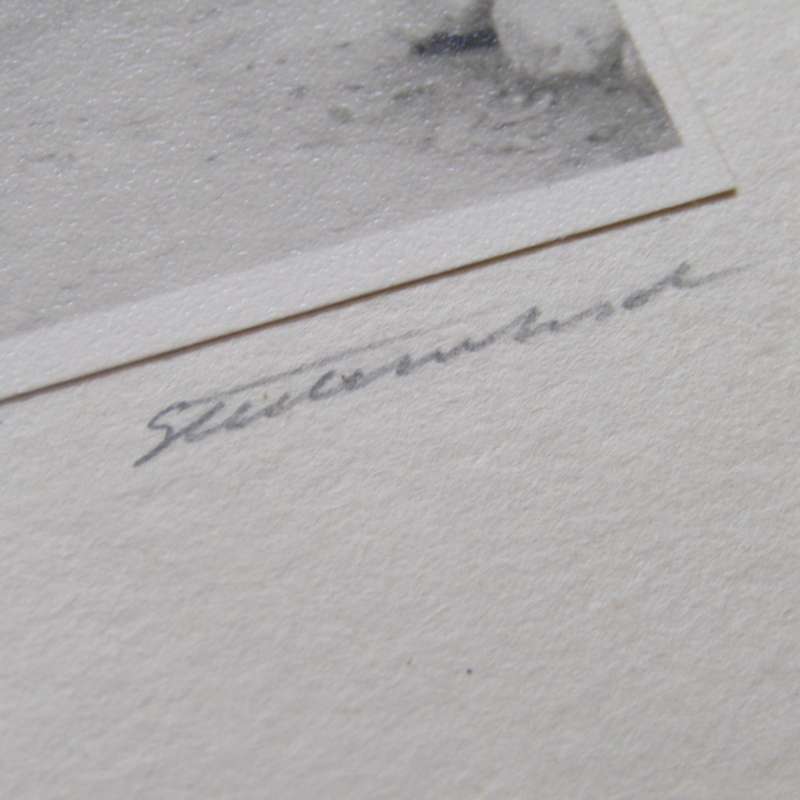 Pair of 1950`s Photos of Stellenbosch University students