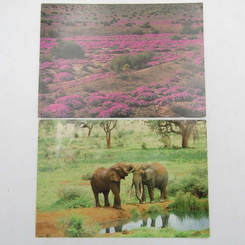 Lot of 32 South Africa postcards - all vintage and with different stamps