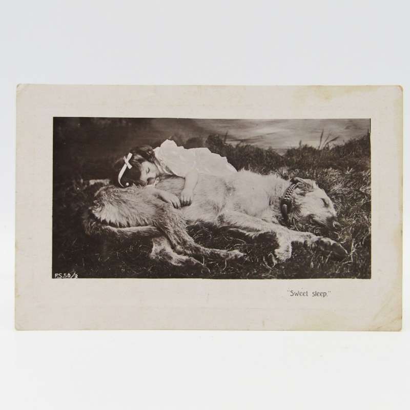 Antique postcard of little girl and Irish Wolfhound