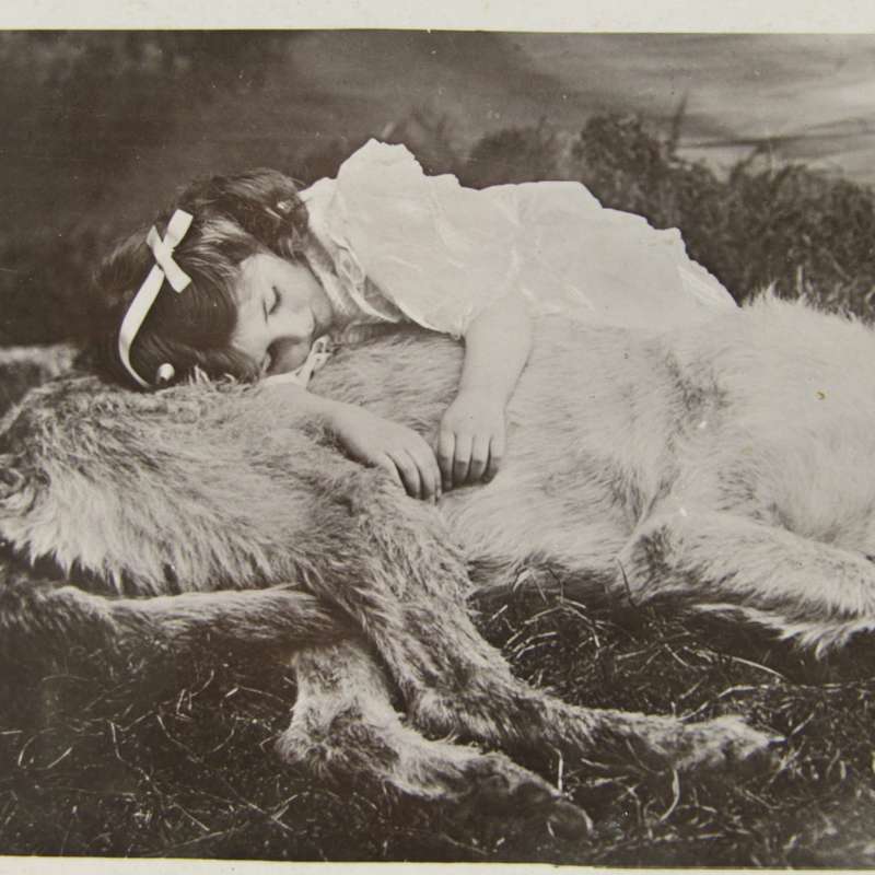 Antique postcard of little girl and Irish Wolfhound